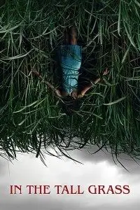 in the tall grass 2019 , TheMoviesFlix - TheMoviesFlix.Digital